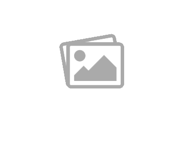 سیب زمینی سرخ شده 